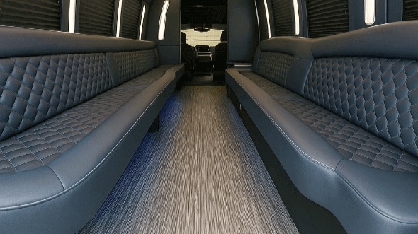 anderson 20 passenger party bus